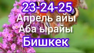 БИШКЕК АБА ЫРАЙЫ 23-24-25 АПРЕЛЬ КУНКУ