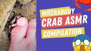 VIRAL CRAB ASMR COMPILATION 1 | CRAB ASMR SOUNDS | MRCRABGUY ASMR 