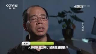 《走近科学》非凡大脑 20170124 | CCTV走近科学官方频道