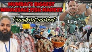 CRAWFORD WHOLESALE FISH MARKET  FULL TOUR WITH DETAILS MUMBAI BIGGEST WHOLESALE FISH MARKET 