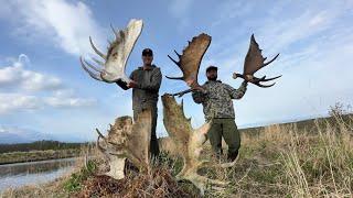 Dream trip to ALASKA! Moose shed Heaven