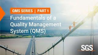 Fundamentals of a Quality Management System (QMS)