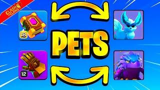 The BEST Hero Equipment COMBINATIONS For Every Pet!