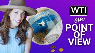 Our Point of View on Pet Zone IQ Treat Balls From Amazon
