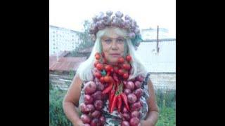 ОГОРОДНАЯ АЗБУКА ОЛЬГИ ЧЕРНОВОЙ. КАК НАЙТИ?