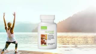 Glucose Balance - Total Body Glucose Support