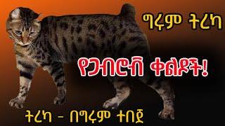 ቀልዶች ከጋብሮቭ ምድር! ትረካ - በግሩም ተበጀ Girum Tebeje @GirumTereka