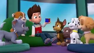 PAW PATROL ll Ryder solves a Rubik's cube congratulations