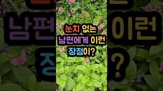 눈치 없는 남편에게 이런 장점이?