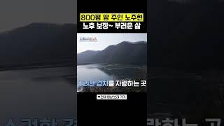 노주현의 800평 땅 부러운 인생 #4인용식탁