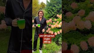 УВЛЕЧЕННЫЕ САДОМ. Российские #звезды #садоводы