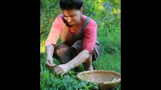 Foraging & Feasting Beverage Making Episode 2: Herbal Essence Waters w/ Dina Falconi