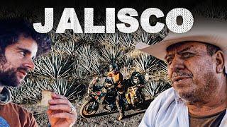 LLEGO a JALISCO en BUSCA de UN TEQUILA CLANDESTINO que NO ME DEJE CIEGO  Episodio 251