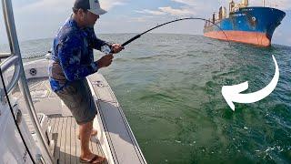 We Dropped A LIVE Bait Under This HUGE Ship And Caught The MOST Sought After Fish Around!