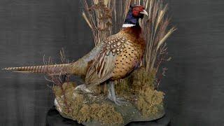 How to Build a Bird Habitat | Taxidermy Supply | Scenes-n-Nature®