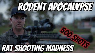 Rat Shooting Madness || Rodent Apocalypse || NEVER have I shot this many RATS in ONE night !!!