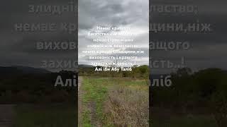 У багатства-сто мутацій. У багатих-три обличчя..!@Shorts #семья #rec #automobile#relax#music