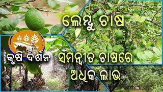 Krushi Darshan || କୃଷି ଦର୍ଶନ || 18 Sept 2024