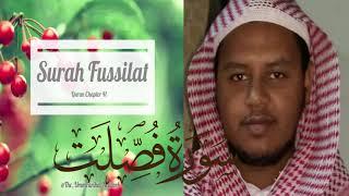 ሱረቱ ፉሲለት  #suretu_fusilet   #سورة فصلت muhammed jemal