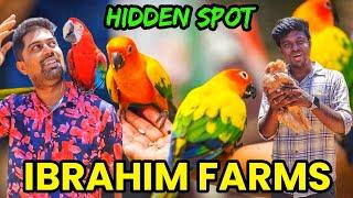 Ibrahim Farms| Mini zoo| Exotic Pets| Horse riding| Birds| Trichy| Pudukkottai- 84384 00000