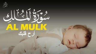 Surah Al Mulk | سورة الملك - Amazing Relax Recitation before Sleep | Ahmad Shalabi