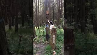 23 мая день славянской богини Лады️Капище Лады в городе Троицк