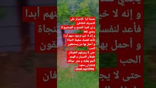 سفينة النجاة