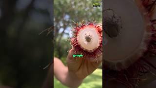 Top 5 Fruits with the Weirdest Texture