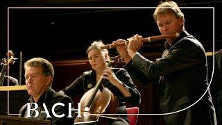 Bach - Badinerie from Orchestral Suite in B minor BWV 1067 | Netherlands Bach Society