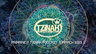 Primarie // Tzinah Podcast // March 2023