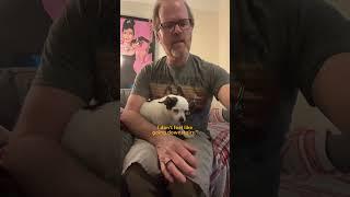 Dad Treats The Senior Chihuahua He Didn't Even Want Like Royalty | The Dodo