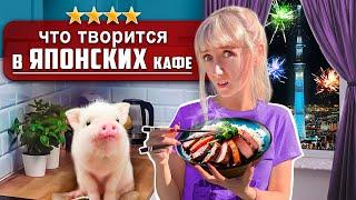 Жизнь в Японии: Кафе Мини Пигов | Безумный Фестиваль Салютов | Замок Сейлор Мун