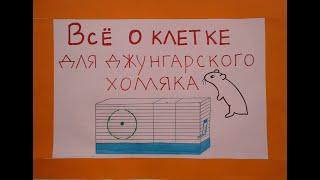 Все о клетке для джунгарского хомяка