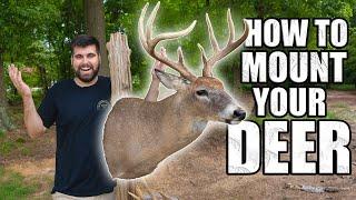 I Mounted My Missouri BUCK | First Time EVER Doing Taxidermy!