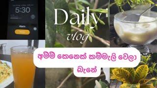 මගේ අද දවස ගෙවුනේ මෙහෙමයි#dailyvlog#youtube 