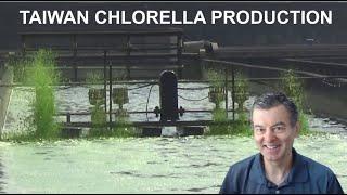 Chlorella Sorokiniana Production in Taiwan #chorella