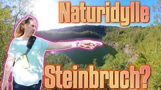 Naturschutzgebiet Steinbruch? Entlang der #Entdeckerschleife #Steinbruch #Schlupkothen in #Wülfrath