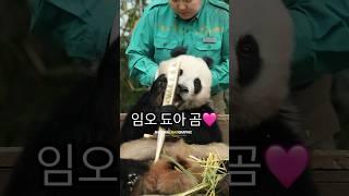 오시질… 오시질… 