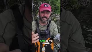 Kayak Angler DOMINATES Tournament with SECRET White Spinner Bait!