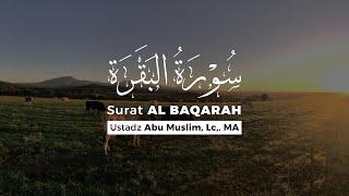 Murattal Al Qur'an Surat Al Baqarah 1 - 141   |    Ustadz Abu Muslim, Lc., M.A.