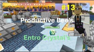 FTB-Evolution #13 Start mit Bienen - die Entro Bee