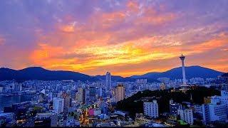 BUSAN NIGHT VIEW