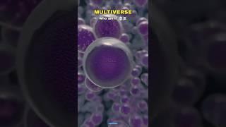 Universe vs Multiverse ‍ #shorts #space #universe #cosmology