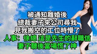 被通知離婚後，總裁妻子來公司尋我，見我搬空的工位時懵了，人事：徐總 這是先生的辭職信，妻子聽後當場慌了神【三味時光】#激情故事#大彬情感#夢雅故事#小說#爽文