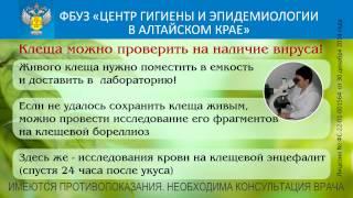 Центр гигиены и эпидемиологии