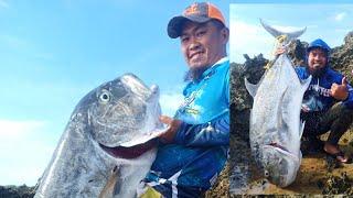 Big GT : Cliff fishing : Eastern Samar