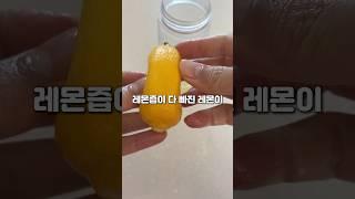 레몬즙 폭포수처럼 짜는 꿀팁