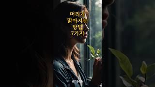 머리가 맑아지는 방법 7가지｜긍정확언｜아침명상｜긍정사고｜인생조언
