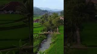 Suasana Kampung Paling Indah Bikin Betah Gak Mau Pulang! #andriandenivlog #suasanakampung