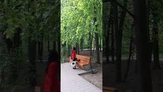 Развлечения   в  Парке  Дубки.....май....2025 г....